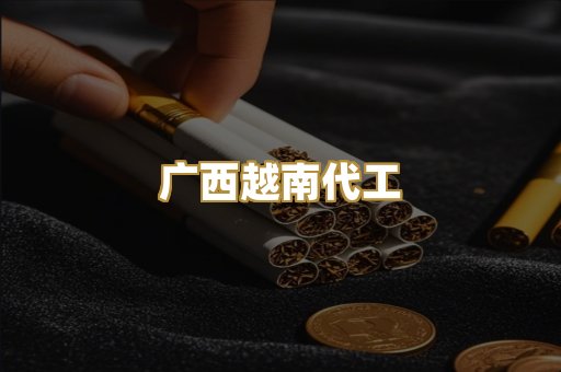 广西越南代工